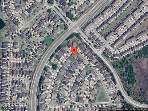 White Poplar, RIVERVIEW, FL 33578