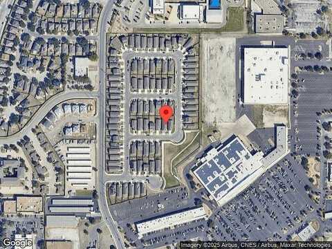 Grosebeak, SAN ANTONIO, TX 78245