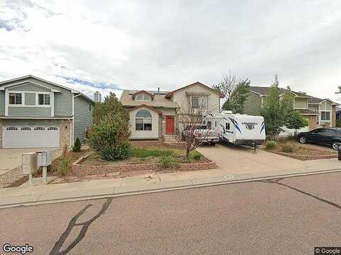 Candleflower, COLORADO SPRINGS, CO 80920