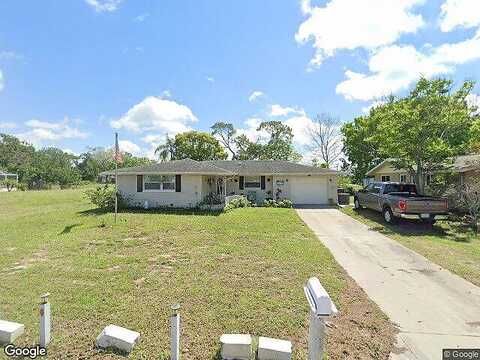 Pineapple, PORT RICHEY, FL 34668