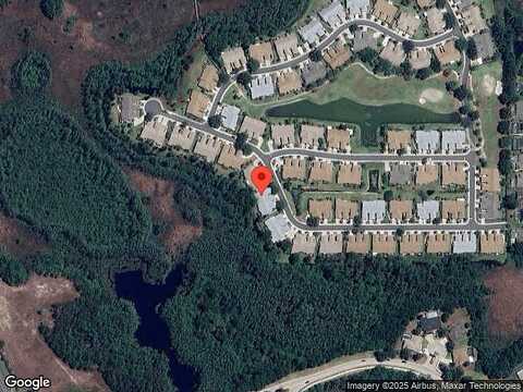 Cleopatra, LAND O LAKES, FL 34637