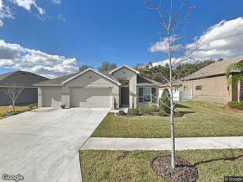Sparkling, WESLEY CHAPEL, FL 33545