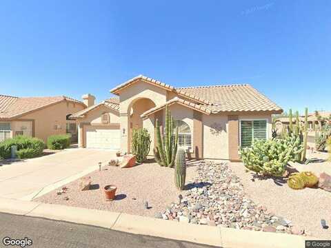 Jojoba, GOLD CANYON, AZ 85118