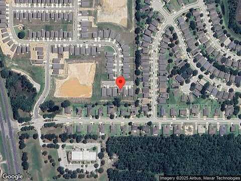Bristleleaf, LEESBURG, FL 34748
