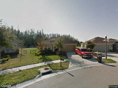 Sheer Bliss, LAND O LAKES, FL 34639