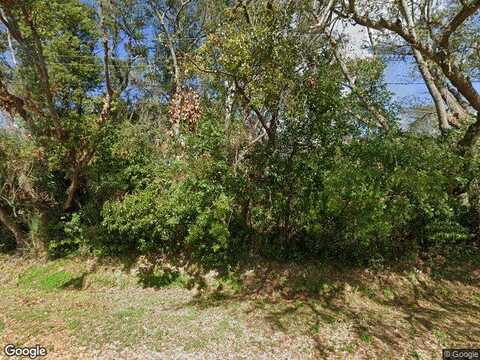 Palm, WINTER GARDEN, FL 34787