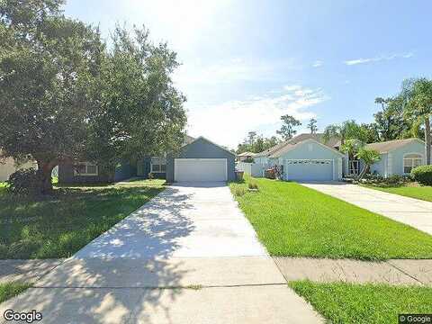 Ficus Tree, KISSIMMEE, FL 34758
