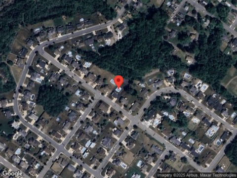 Raspberry, DURYEA, PA 18642