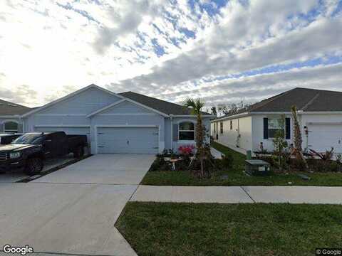 Stormy Thistle, PLANT CITY, FL 33565