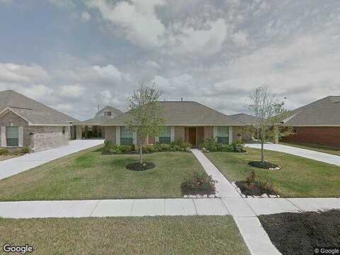 Palomino, MANVEL, TX 77578