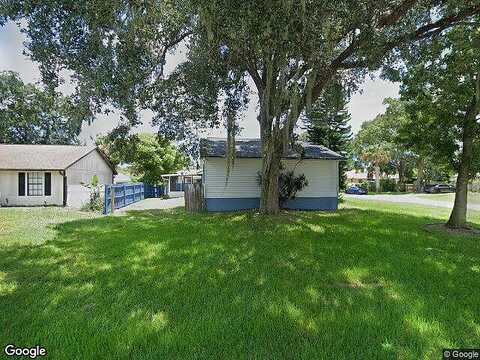 Lime Tree, EDGEWATER, FL 32141