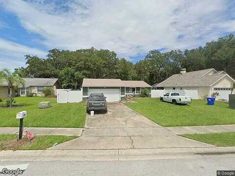 Sugar Bear, PALM HARBOR, FL 34684