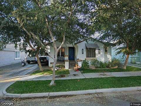 Camellia, GILBERT, AZ 85296