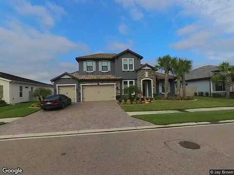 Picana, WESLEY CHAPEL, FL 33543