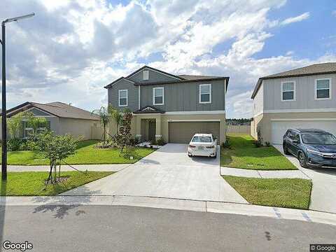 Blazing Star, LAND O LAKES, FL 34637