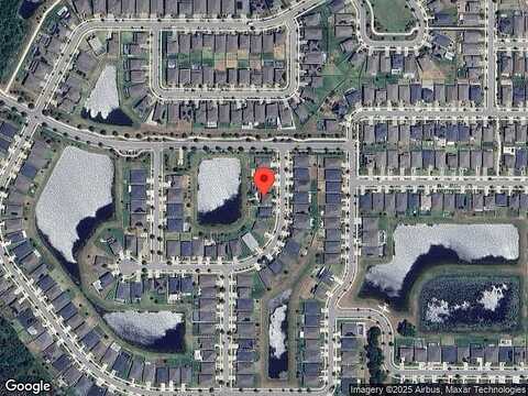 Rain Lily, RIVERVIEW, FL 33579