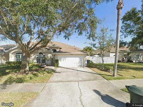 Haley, DUNEDIN, FL 34698