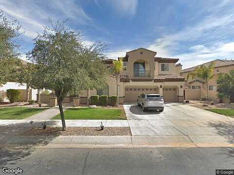 Verbena, LITCHFIELD PARK, AZ 85340