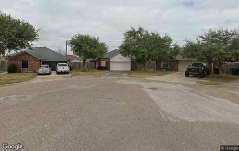 Ficus, CORPUS CHRISTI, TX 78414