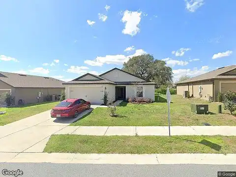 Crested Orchid, BROOKSVILLE, FL 34602