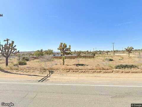 Old Haggard, YUCCA VALLEY, CA 92284