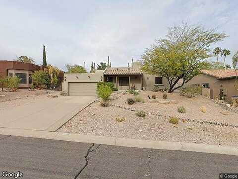 Chicory, FOUNTAIN HILLS, AZ 85268