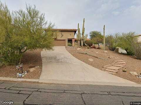 Chicory, FOUNTAIN HILLS, AZ 85268