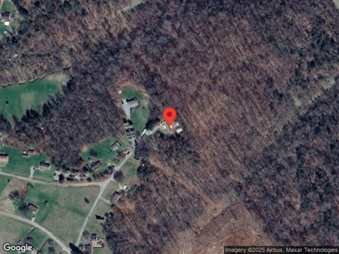 Daffodil, VINTON, VA 24179