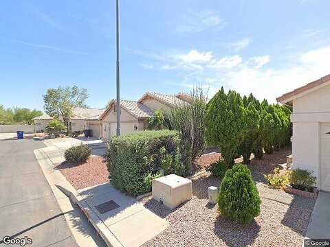 Sandsnake, SURPRISE, AZ 85378