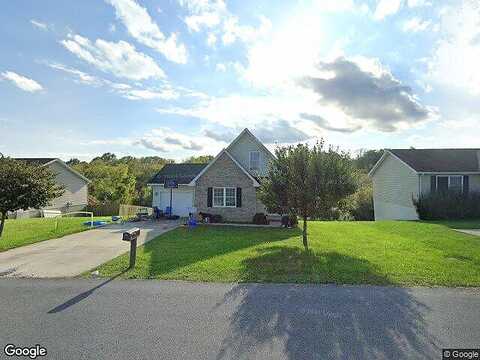 Thoroughbred, LEXINGTON, VA 24450