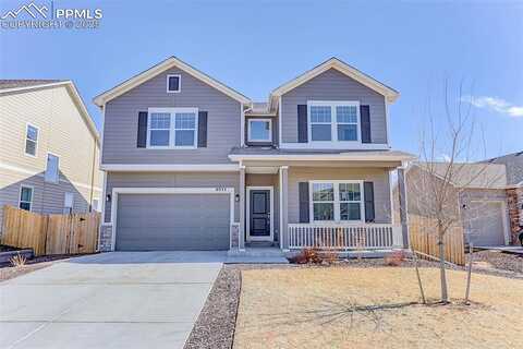 Yellowtail, COLORADO SPRINGS, CO 80908