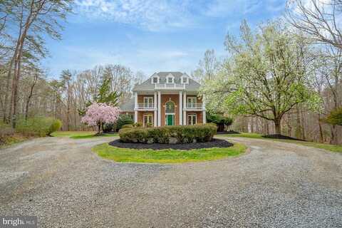 Wild Orchid, FAIRFAX STATION, VA 22039