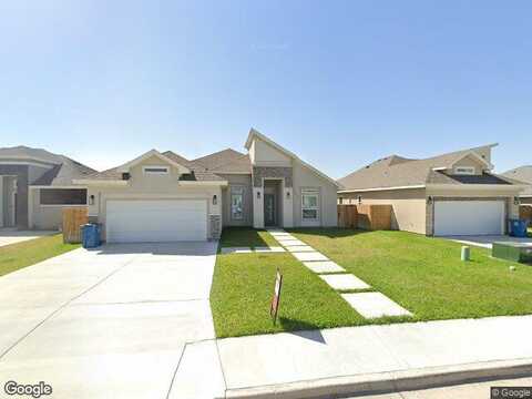 Aster, BROWNSVILLE, TX 78520