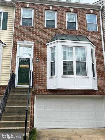 Applemint, ALEXANDRIA, VA 22310