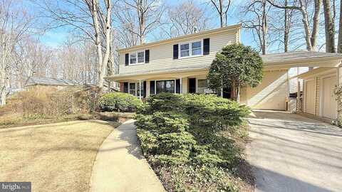 Linette, ANNANDALE, VA 22003