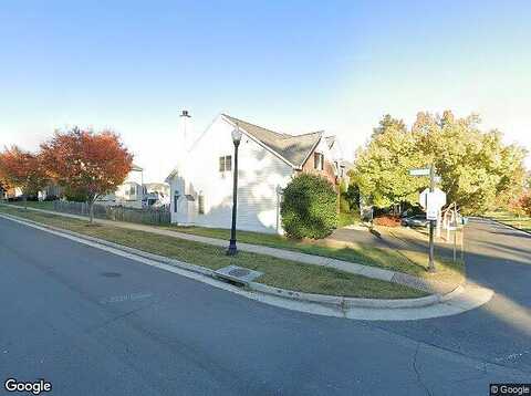 Olive Tree, CHANTILLY, VA 20152