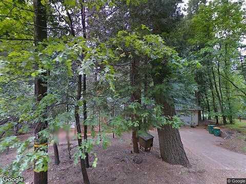 Maple, POLLOCK PINES, CA 95726