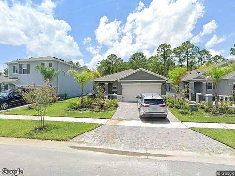 Caryota, NEW SMYRNA BEACH, FL 32168