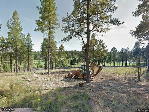 Birds Of Prey, FLAGSTAFF, AZ 86005