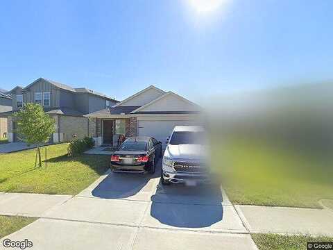 Silver Plume, SPRING, TX 77373