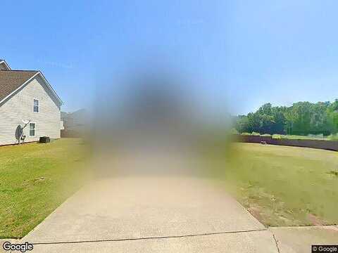 Sawgrass, HAMPTON, GA 30228
