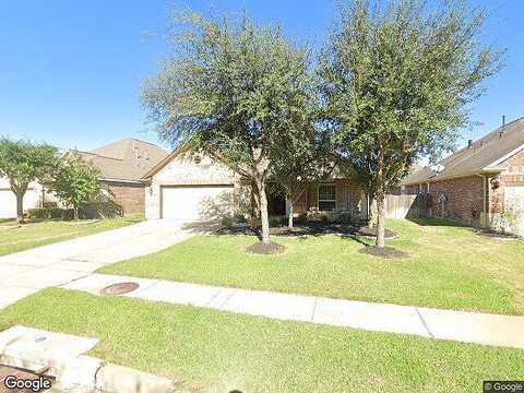 Yellow Begonia, CYPRESS, TX 77433