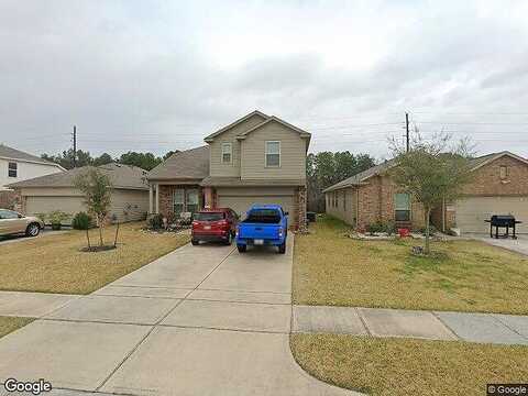 Silver Winter, HOUSTON, TX 77014