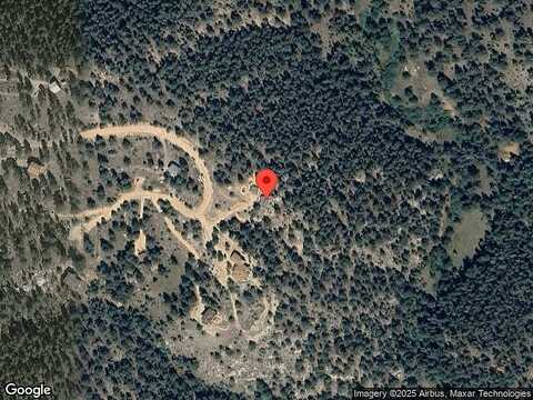 Impala, BAILEY, CO 80421