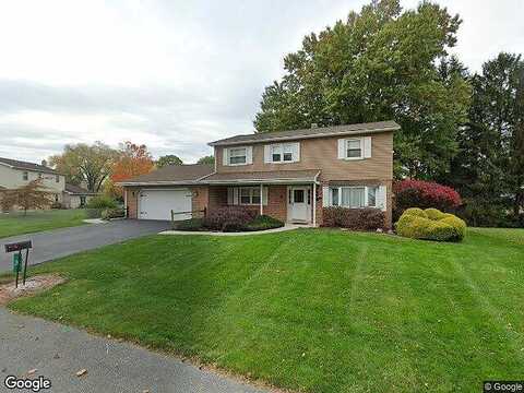 Dandelion, BOILING SPRINGS, PA 17007