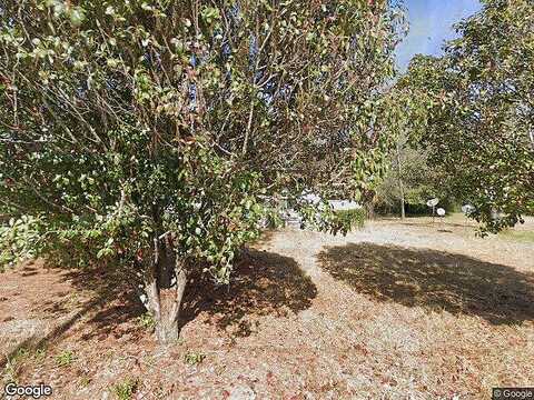 Vienna, FORT VALLEY, GA 31030