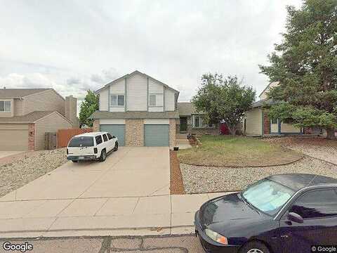 Candleflower, COLORADO SPRINGS, CO 80920