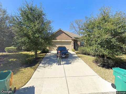 Black Swan, MAGNOLIA, TX 77354