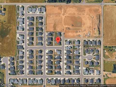 Vine Maple, LA CENTER, WA 98629