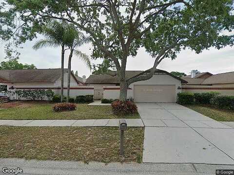 Drury, TAMPA, FL 33635